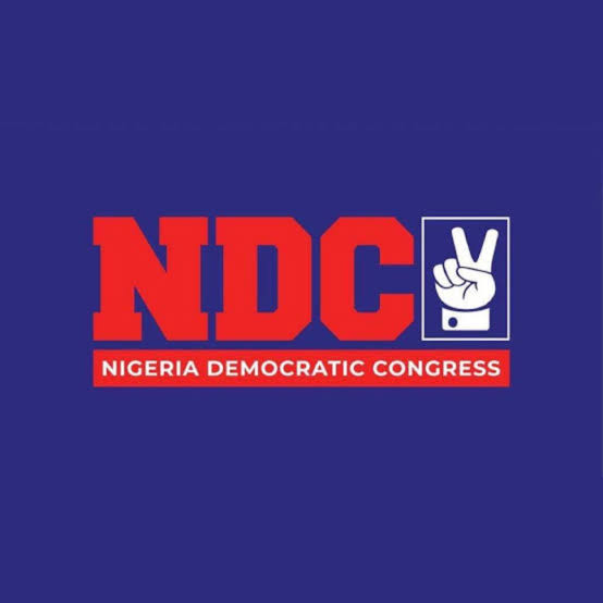 NDC Spokesperson Urges Removal Of Content Creators Posing As Activists